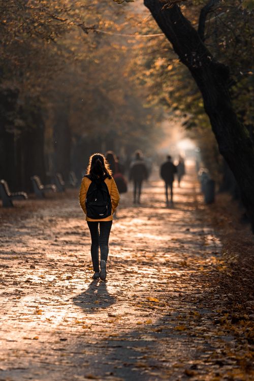 Person with a backpack walking along a sunlit tree-lined park path
